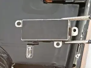 Taptic Engine