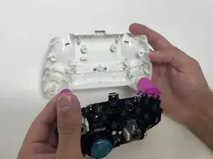 Back Shell