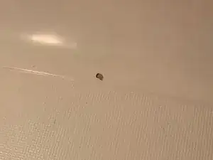 How to Fix a Chip in the Shower Floor or Bath