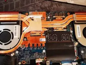 Dux1Vj1Gb2xoQfEb