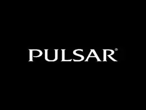 Pulsar Watch