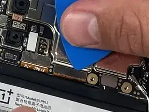 MZ6I6POddRSctKrn