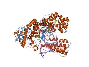 PCR