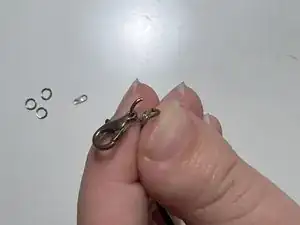 Clasp