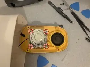DLwMvwAXPXISMfpp
