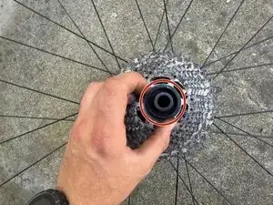 DdgXHXdMFxqOHHyr