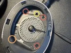 GF263vc5XZrMPDUZ