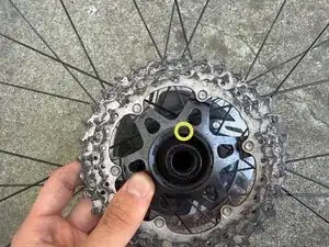 UOmlyrYtDToOvCAP