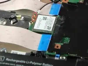 rPDZucAspGusZFCt