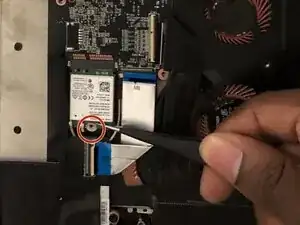 tLEWxP32PpPmtZQu