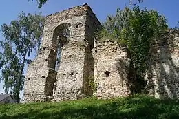 Image 14An abandoned Calvinist church in Łapczyna Wola, Poland (from Calvinism)