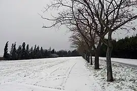 View of a snowy landscape near Sindos