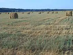 August harvest in Tsivil River valley, Tsivilsky District