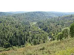 The Bolshoy Tesh River valley in Novokuznetsky District