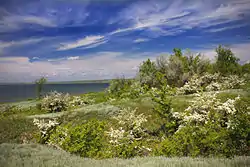 Tylihul Estuary Landscape Park