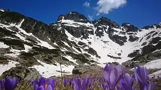 Image 8Alpine landscape below Malyovitsa Peak, Rila Mountain, Bulgaria (from Montane ecosystems)