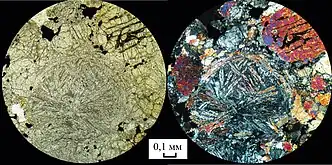 The meteorite under microscopic view (scale: 0.1 mm)