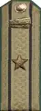 погоны мпс 1943