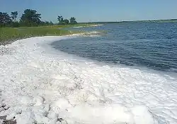 Lake Gorikoye, Novichikhinsky District