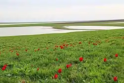 Rostovsky Nature Reserve, Orlovsky District