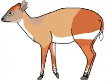 Drawing of bovid