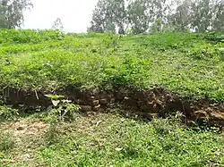 Birat Rajar Mound