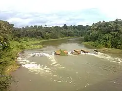 View of Kallada River from Enathu Bridge