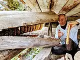 Beekeeper harvesting honey from Jara