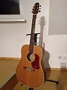 Guitar