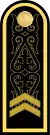 Екінші сатылы старшинаEkinşi satılı starşïna(Kazakh Naval Forces)