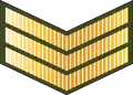 Sergeant