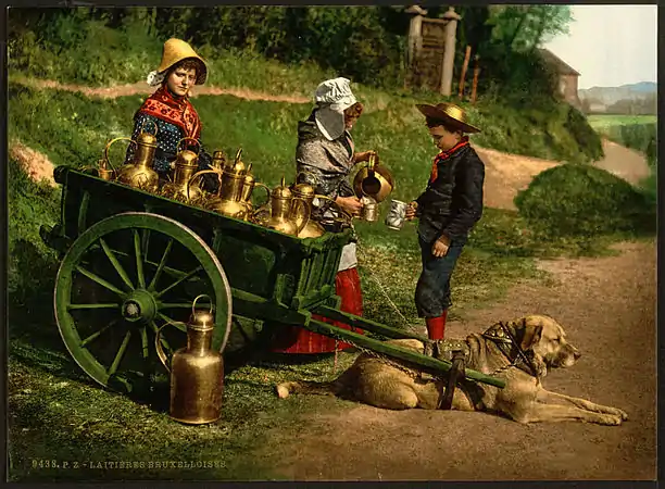 A photochrom from the late 19th century showing two peddlers selling milk from a dogcart near Brussels, Belgium