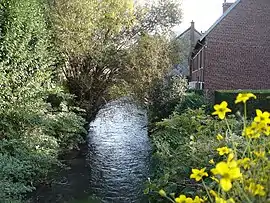 The Cailly river in Déville-les-Rouen