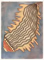 Electric Fruit, pastel, ink on cut-out shape, 1960s