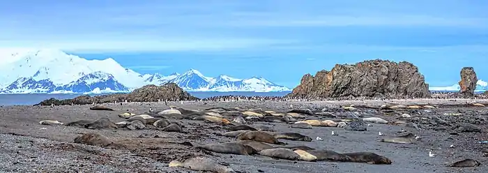 Hurd Peninsula and Rozhen Peninsula from Hannah Point