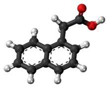 1-Naphthaleneacetic acid molecule