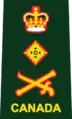 Uniform shirts (insignia used 2013–2016)