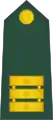 Nadporočnik(Slovenian Ground Force)