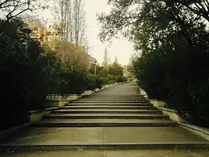 Stairway in Monner torrent.