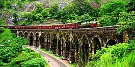 Train on arch bridge, running next to a road through a forest