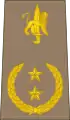 Général de brigade(Congolese Ground Forces)