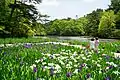 Kobe Municipal Arboretum