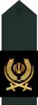 Islamic Revolutionary Guard Corps insignia