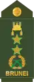 Mejar jeneral(Royal Brunei Land Forces)