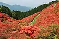 Tsutsujien, just south of the lodge