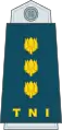 Colonel