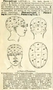 Phrenology, a pseudo-science fashionable in the 19th century.