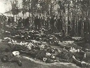 Armenian massacres in Erzurum, 1895