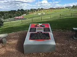 1969 Woodstock Monument