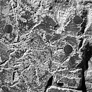 Figure 6. Close-up of sediment matrix and embedded hematite spherules abraded by Opportunity's Rock Abrasion Tool. This Eagle Crater image covers an approximate 32 mm x 32 mm area. It was taken on Sol 34 (2004-02-29).